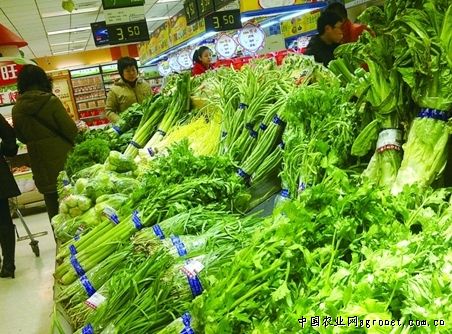 贵州兴仁县锁寨发展大棚反季节无公害蔬菜种植