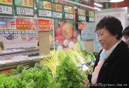 云南新平县农业局调研扬武镇蔬菜产业