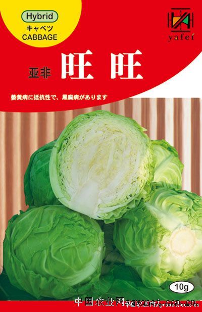 野菜蕨菜