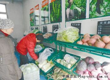 北京香菜新闻资讯