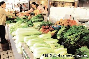 北京农业嘉年华让市民享受趣味蔬菜“盛宴”