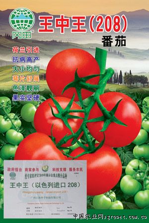贵州蕨菜加工厂在哪里