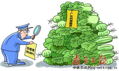 芦笋价格多少钱一斤