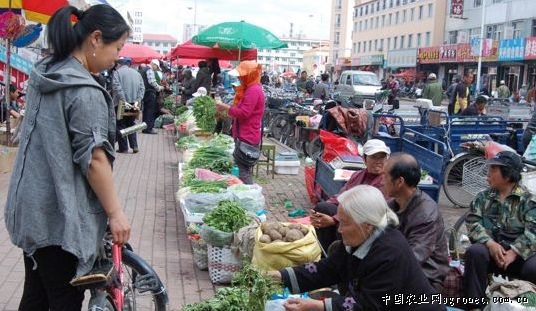 树花菜多少钱一斤