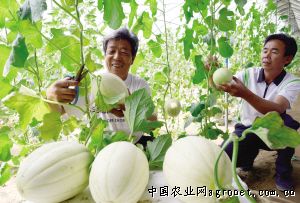 北京绿亨种子有限公司