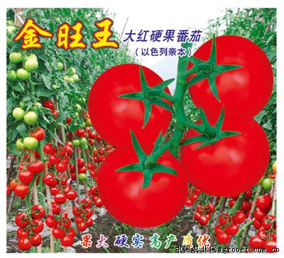 交大艳红扁豆施肥技术