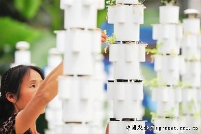 打造“种业之都”北京召开首次种业工作会