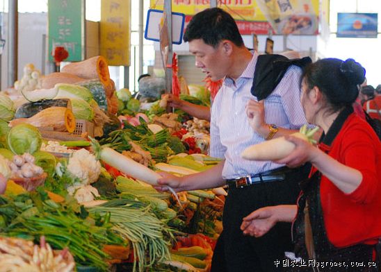 北京小杂60白菜种植技术