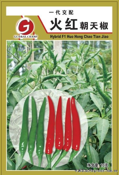 北京红红薯供应信息