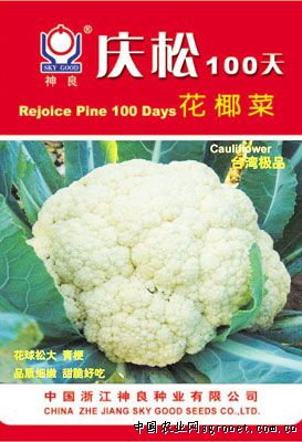 兰州：阴雨连绵“抬高”菜价 香菜一斤15元