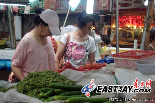 重庆合川区渭沱镇绿色蔬菜种植农民致富（图）