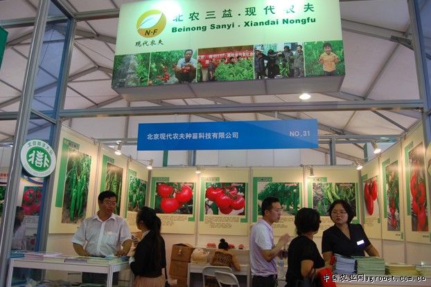 江西金溪县规范蔬菜种子检疫 确保蔬菜生产安全