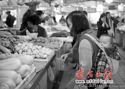芦笋价格多少钱一斤