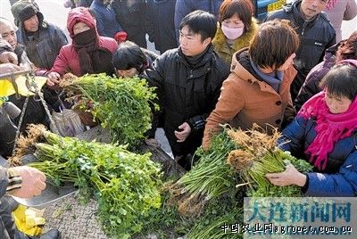 江中猴菇米稀价格