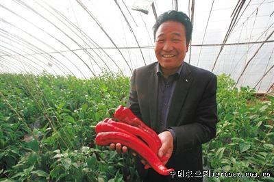 桂林各种美味野菜野菌扎堆上市（图）