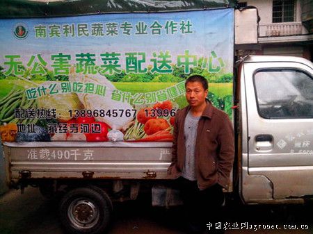 韩国绿萝卜种子公司