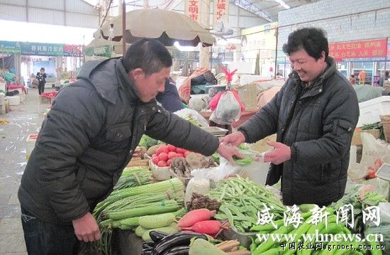 紫菊芋市场价格