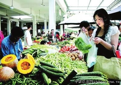 北京3号大白菜贮藏方法
