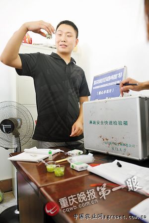 广昌5号茶树菇施肥技术