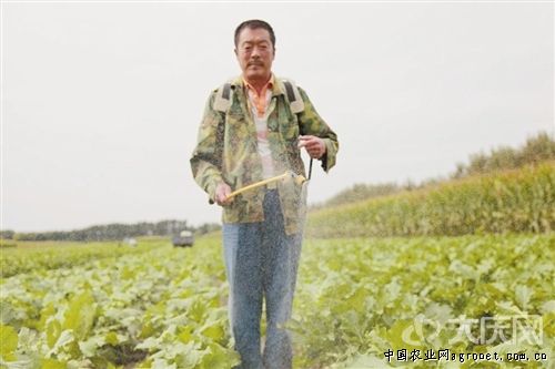 日韩需求大 侨乡漳州保鲜蔬菜首月出口增九成