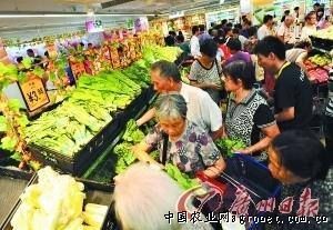 圆叶菠菜种子多少钱一斤