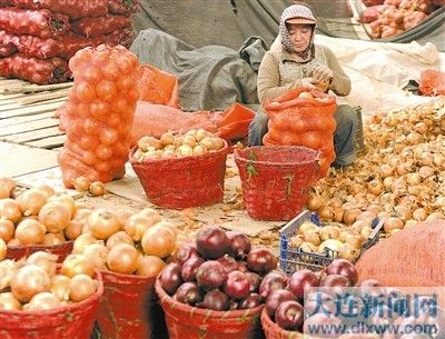 黄瓜上市季节