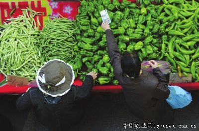 木兰芽多少钱一斤
