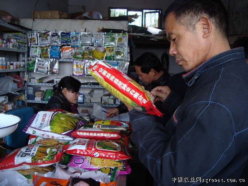 中国红薯交易网