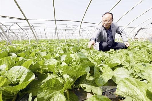 80余吨精准扶贫绿色蔬菜亮相西安市场