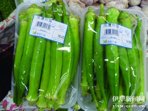阳春白菜种子郑州市