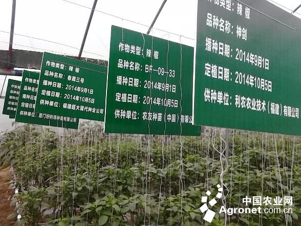 秋葵在中国的产地