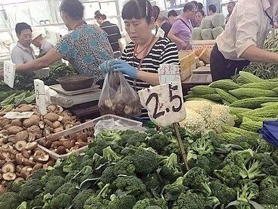 四季王白菜市场价格