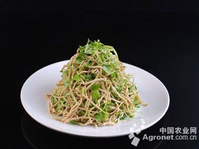 中豌6号豌豆种子
