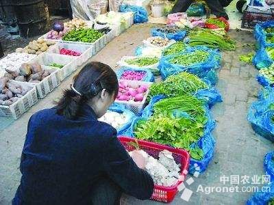 贡菜的价格是多少钱一公斤