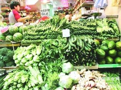 白花菜市场价格