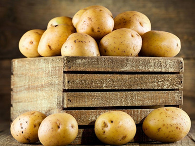 青薯9号土豆病虫害及防治
