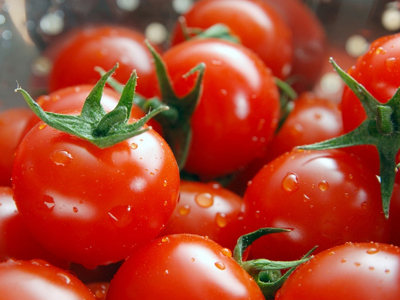 茄子施肥能用尿素吗