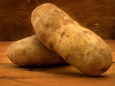 尤金885土豆种子是哪家科研繁育出来的