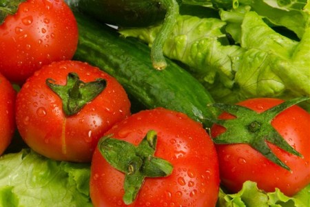 拉比西红柿供应信息