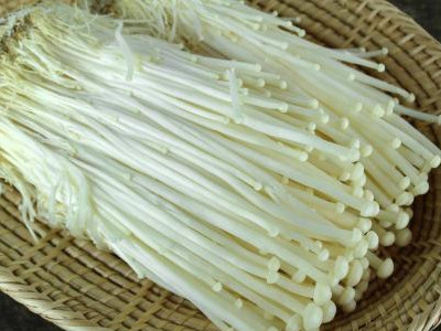 日本光头芥菜种子图片