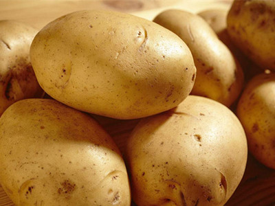 兴佳土豆品种怎么样